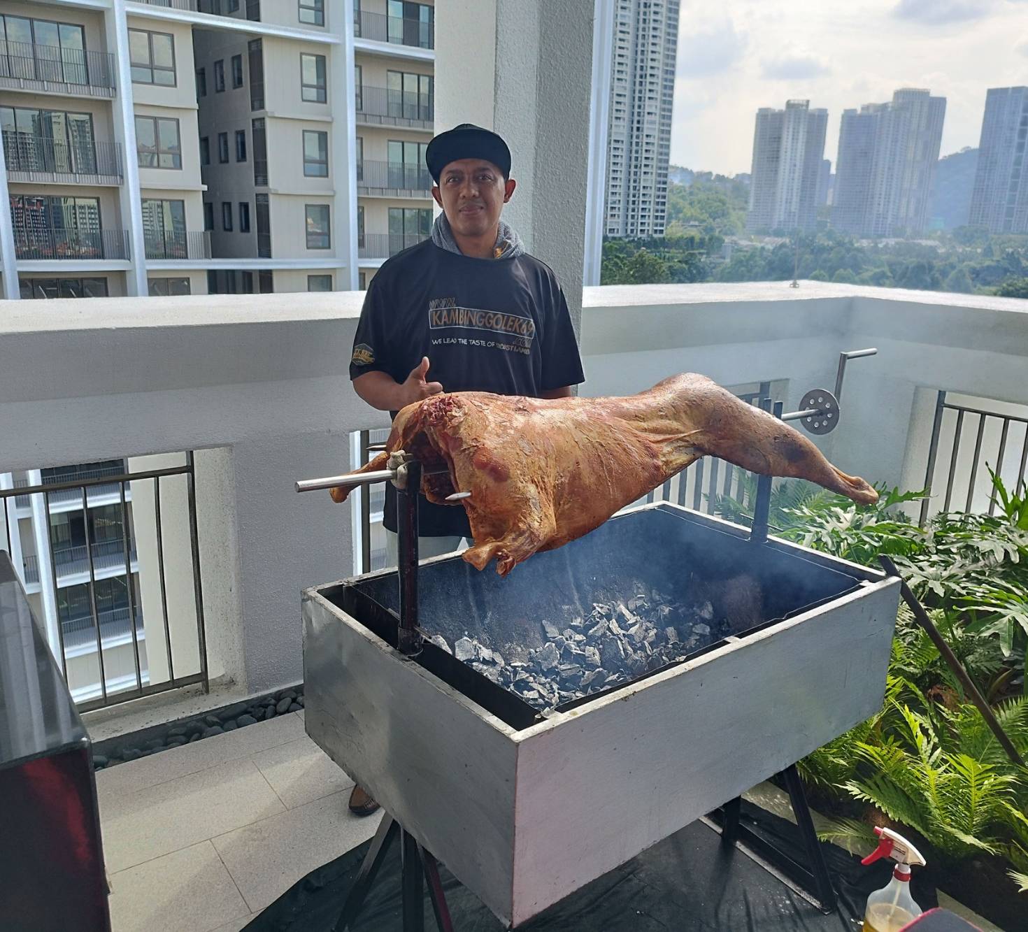 Kambing Golek 69 - 1