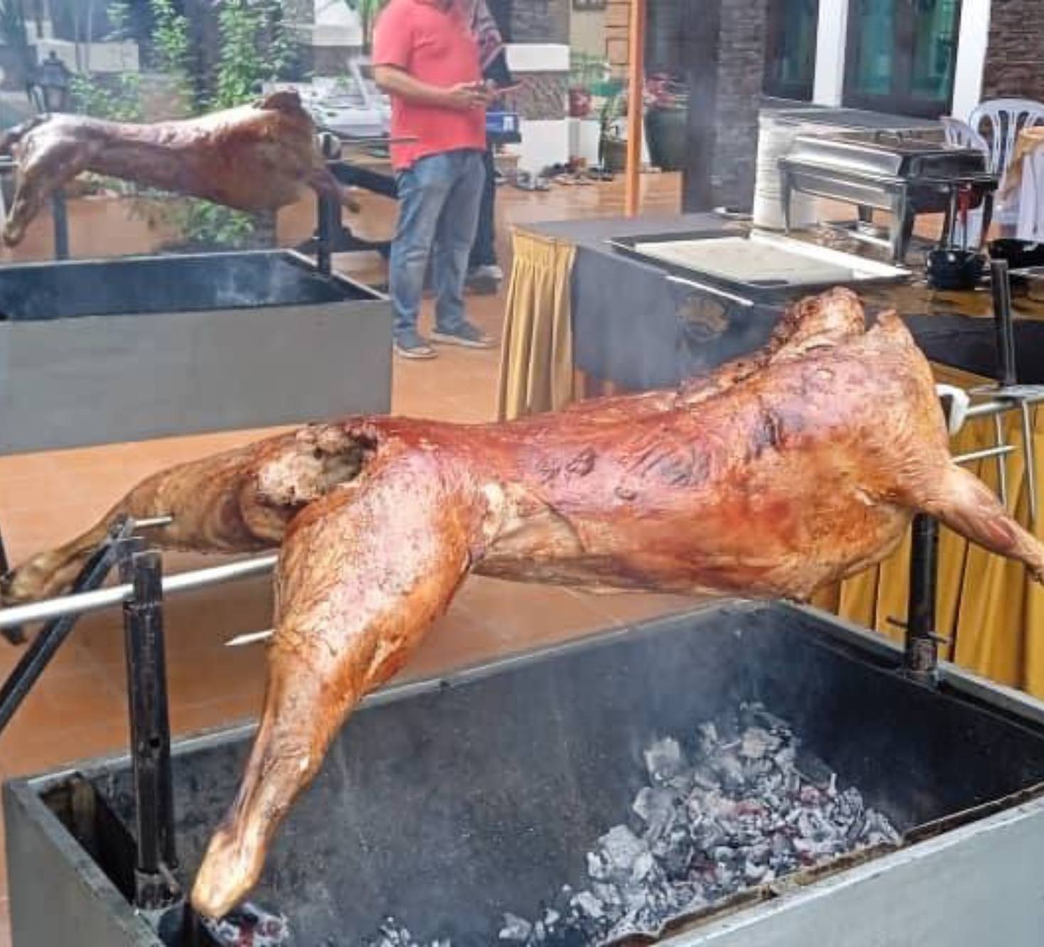Kambing Golek 69 - 11