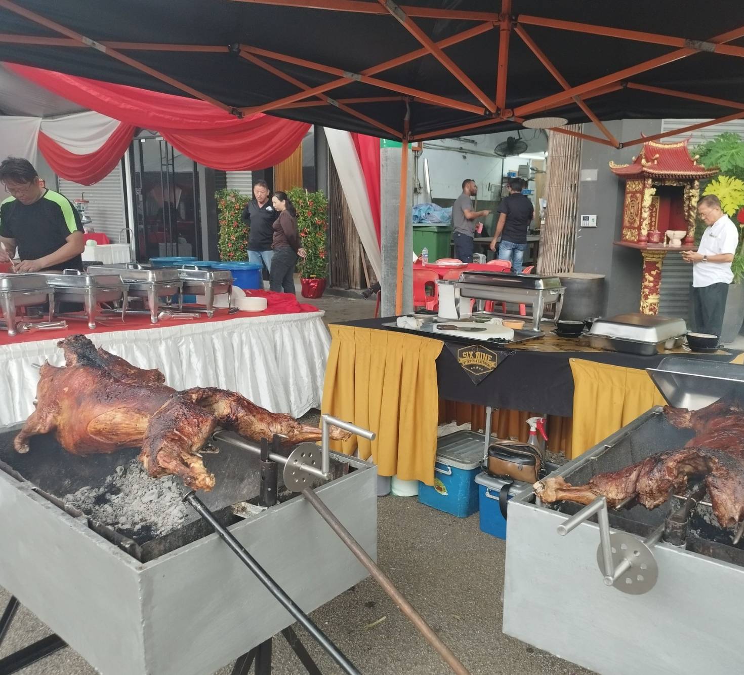 Kambing Golek 69 - 13