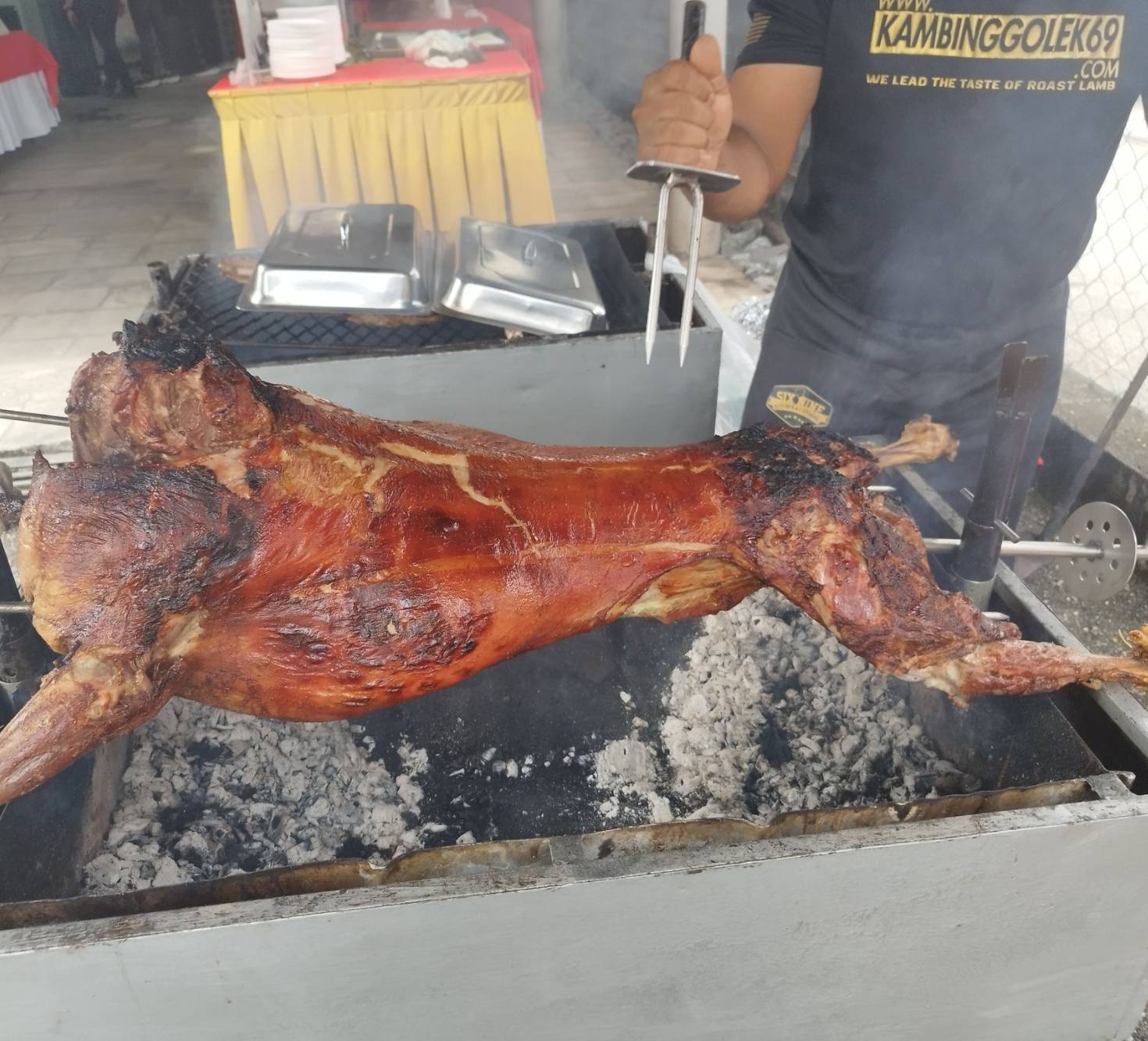 Kambing Golek 69 - 8