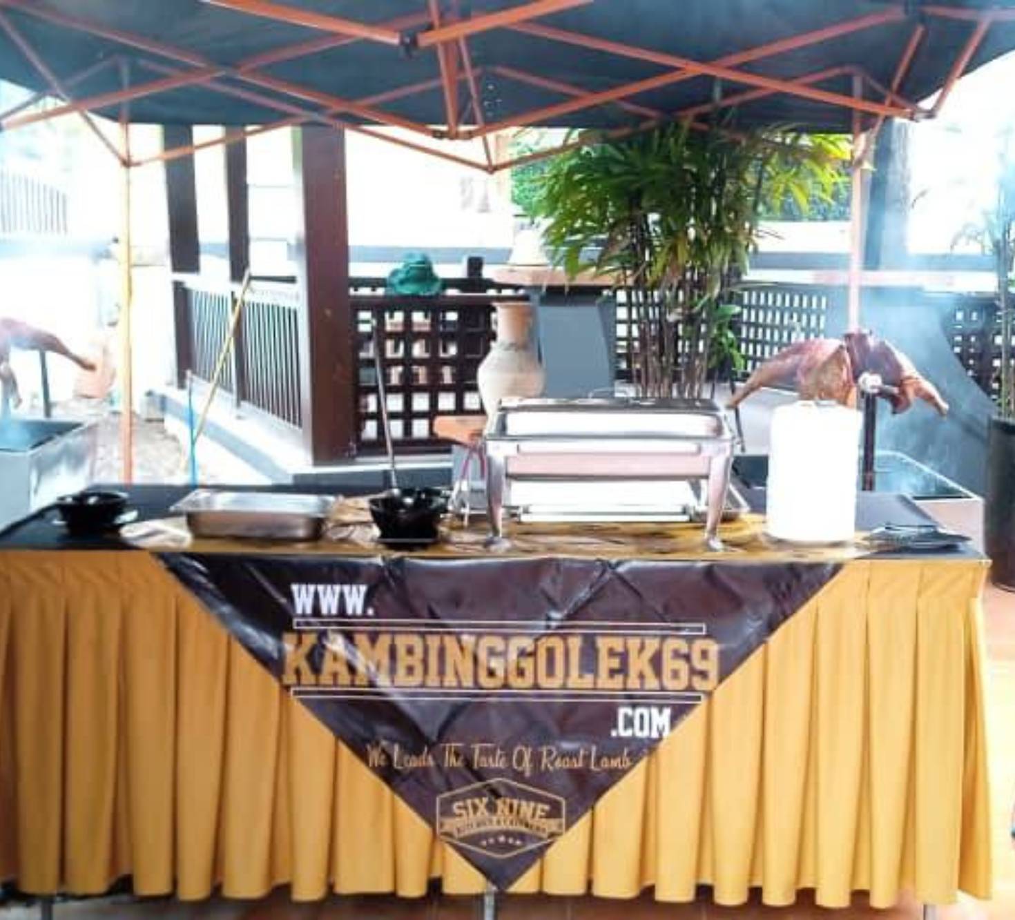 Kambing Golek 69 - 9